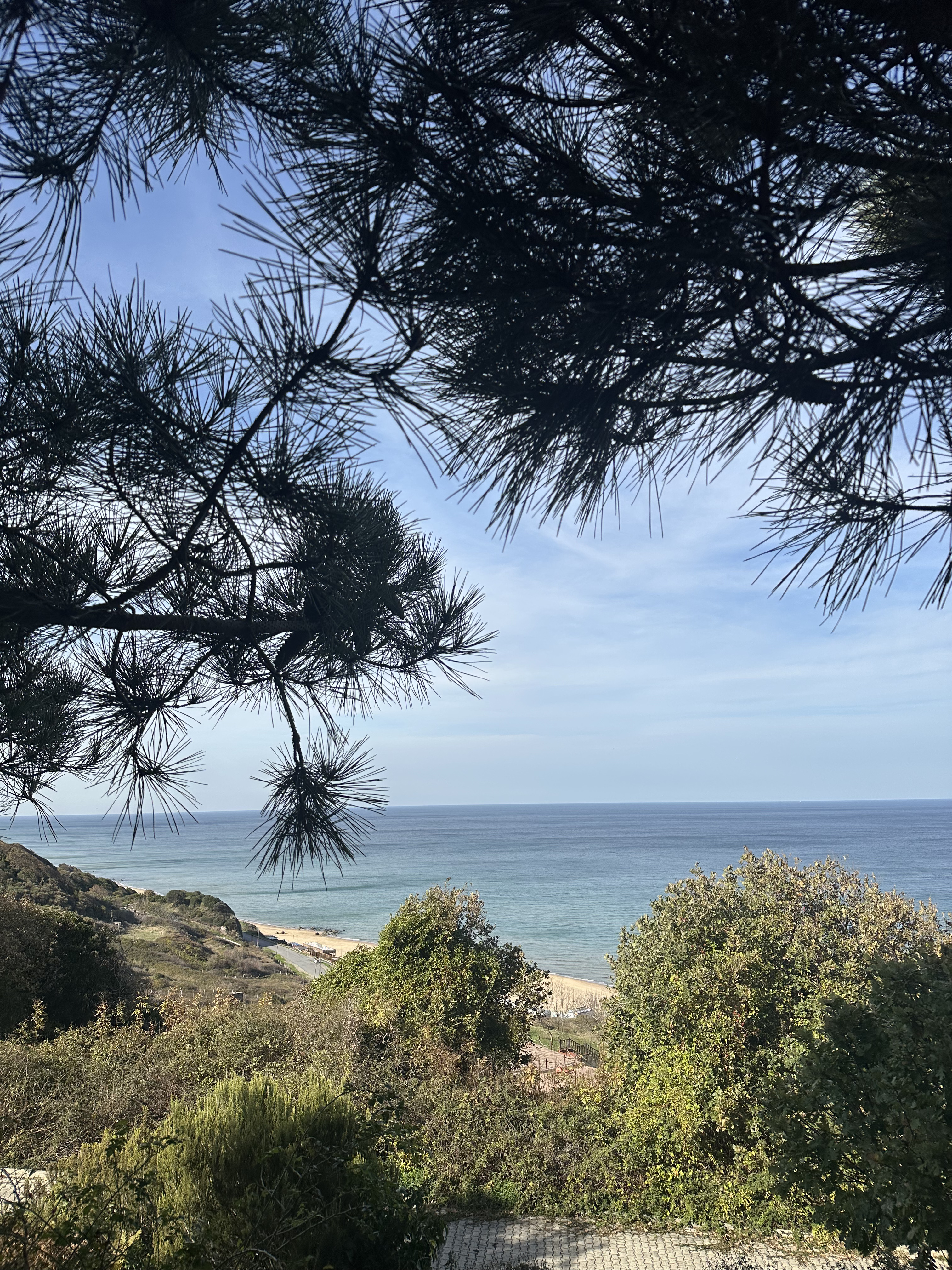 Plastic collection area